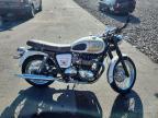 2014 Triumph Bonneville T100