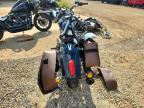 2020 Indian Scout