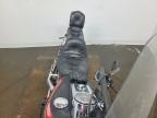 1998 Harley-Davidson Fxdwg