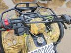 2012 Urwi 2012 Shandong Liangzi Power ATV