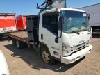 2024 Isuzu NPR HD