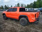 2023 Toyota Tacoma TRD PRO