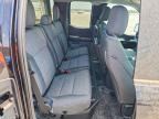2024 Ford F150 XL