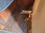 2014 Foresriver 2014 Forest River Surveyor Camper
