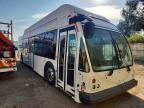 2013 El Dorado Axess