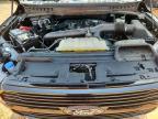 2024 Ford F150 Platinum