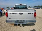 2001 Dodge Dakota Quattro