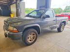 2004 Dodge Dakota SXT