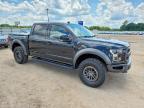 2019 Ford F150 Raptor