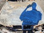 2004 Toyota Tacoma Base