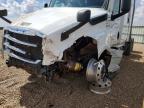 2023 Freightliner Cascadia 126