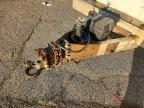2007 Pelsue Fiber Optic Splicing Trailer