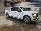 2025 Ford F150 XLT