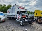 2025 International MV607 BOX Truck