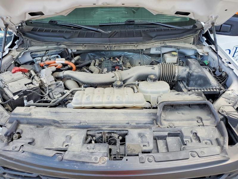 2024 Ford F150 XL