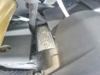 2024 Cf Moto 450SS