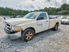 2009 Dodge RAM 1500