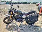 2025 Triumph Scrambler 400 X