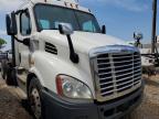 2019 Freightliner Cascadia 113