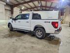 2025 Ford F150 XLT