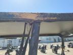 2024 Landmaster AMP Utility Vehicle