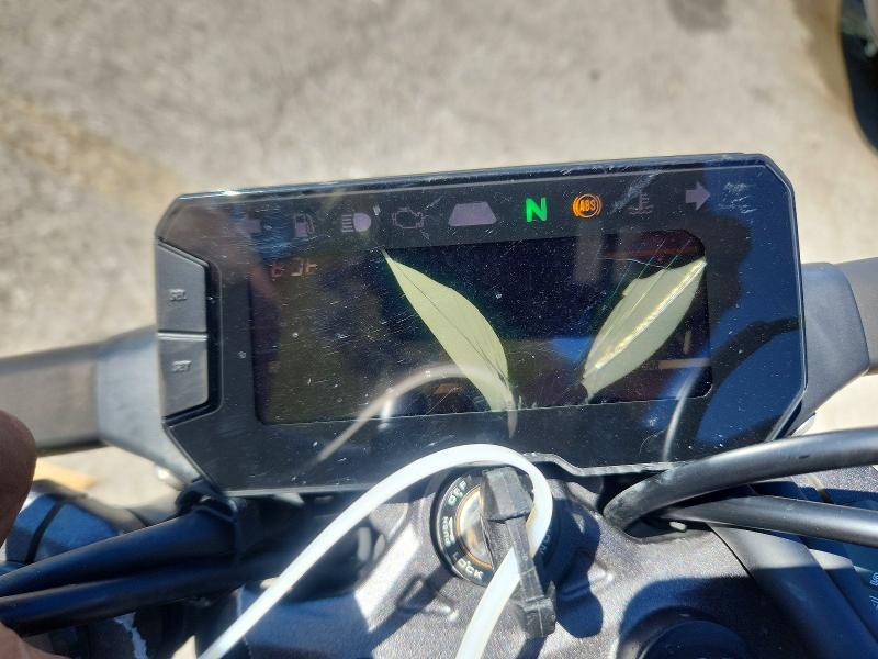 2023 Honda CBF300 NA