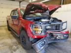 2025 Ford F150 STX