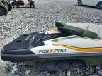2020 Sea-Doo Fish PRO