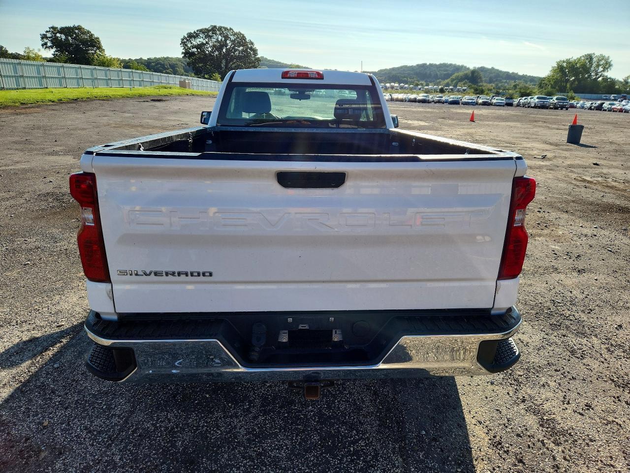 2020 Chevrolet Silverado C1500