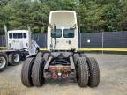2017 Freightliner Cascadia 113