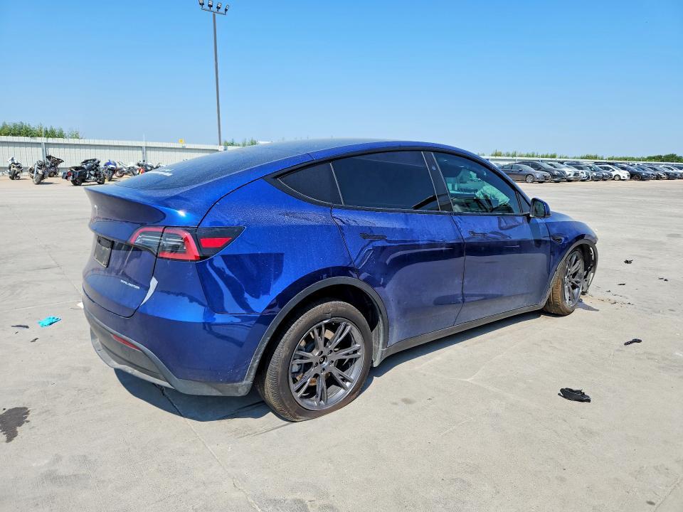 2025 Tesla Model y