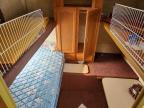 2004 Keystone Springdale Camper