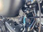 2020 Harley-Davidson XL883 N
