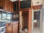 2011 Trailers 2011 MVP Envy Camper