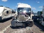 2019 Freightliner Cascadia 116 Semi Truck