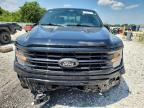 2025 Ford F150 XLT