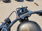 2020 Harley-Davidson XL883 N