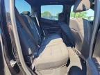 2024 Chevrolet Colorado
