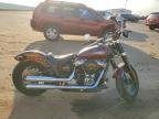 2020 Harley-Davidson Flsl