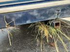 1989 Ford Rockwood RV