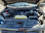 2024 Ford F150 XLT
