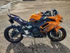 2025 Kawasaki EX650 P