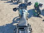 2024 Kawasaki KL650 H