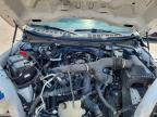 2024 Ford F150 STX
