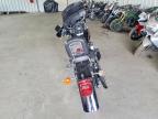 1998 Harley-Davidson Flstf