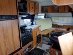 2010 Other Cruiser