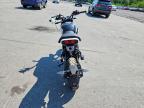 2024 Cf Moto Papio CL