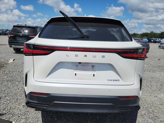 2024 Lexus NX 250 Premium