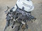 2025 Kawasaki ZX636 K
