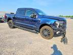 2024 Ford F150 Platinum
